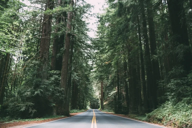 Exploring the Open Road: Best Solo Travel Destinations on Wheels for 2024